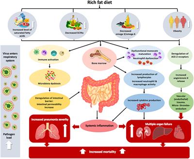 Importance of <mark class="highlighted">Dietary Changes</mark> During the Coronavirus Pandemic: How to Upgrade Your Immune Response